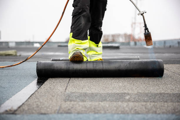 Best Roof Insulation Installation  in Riverside, IL