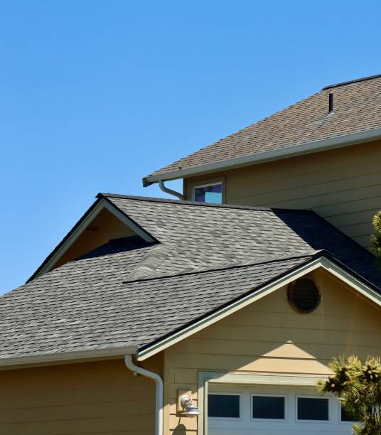 Best Skylight Installation and Repair  in Riverside, IL